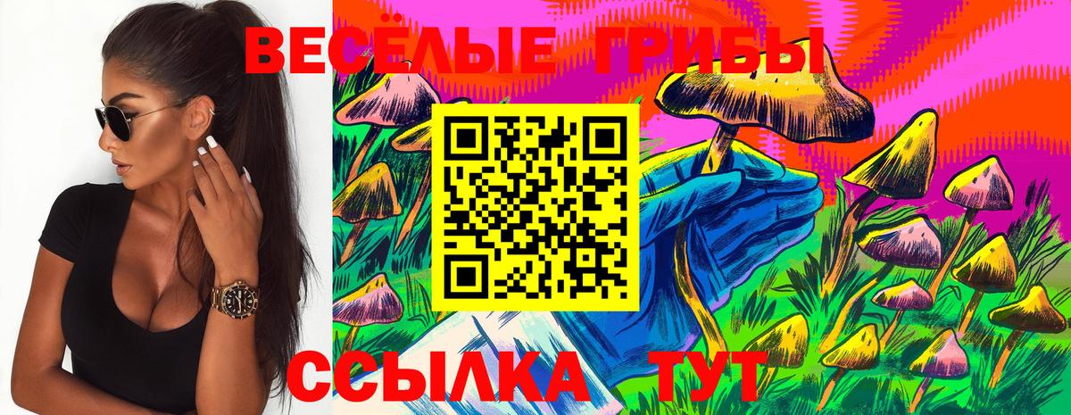 Долгопрудный  Псилоцибиновые грибы Magic Shrooms  Вход с VPN  Галлюциногенные грибы Psilocybe 